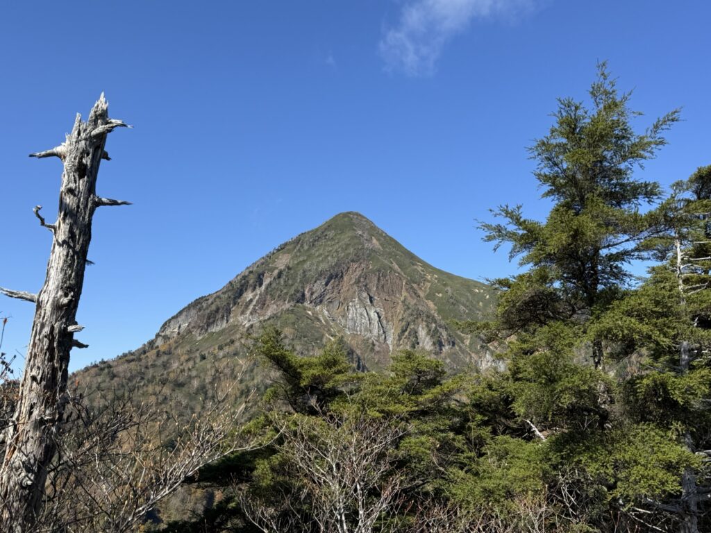 九頭龍山付近から望む高妻山(九頭龍山付近で撮影)