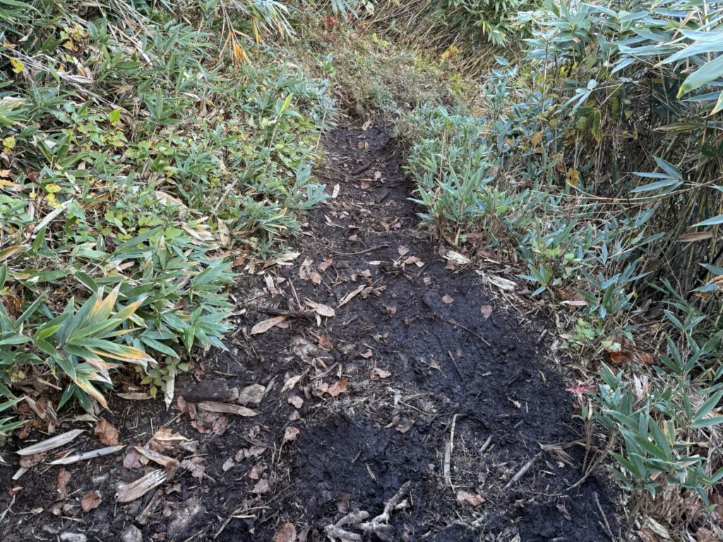 ぬかるみ多め(弥勒新道で撮影)