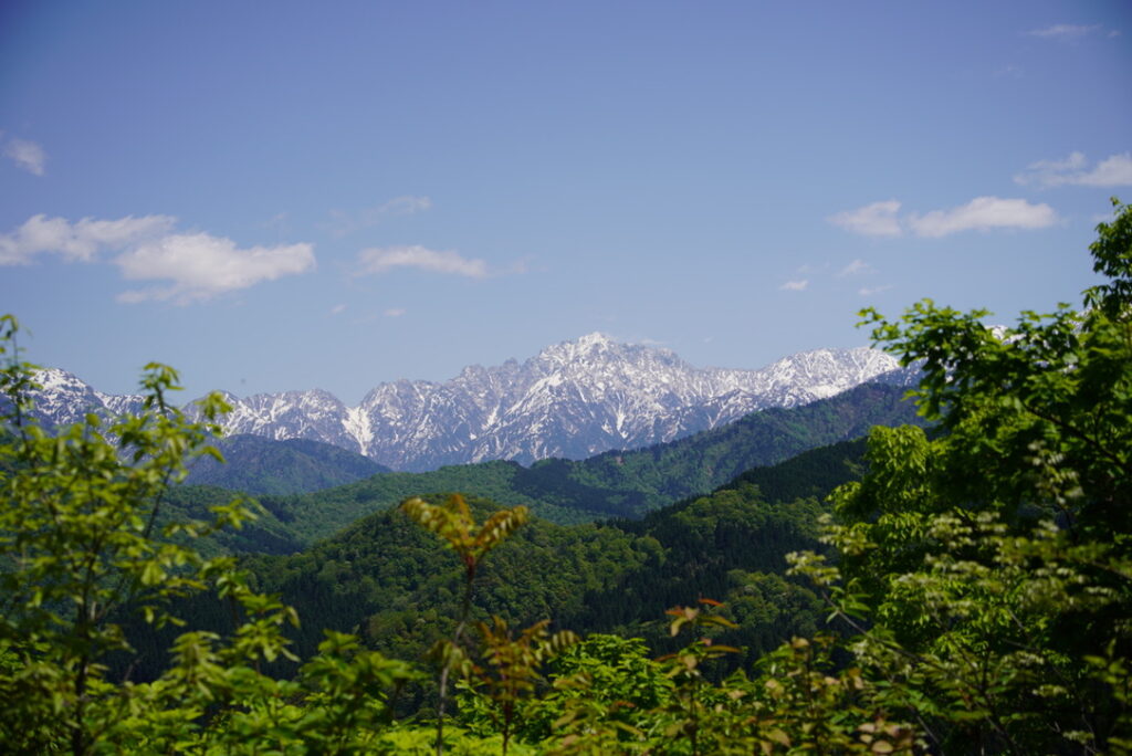 富山県の里山・城ヶ平山から見る剱岳 左の凸凹は北方稜線。エグいですね。。