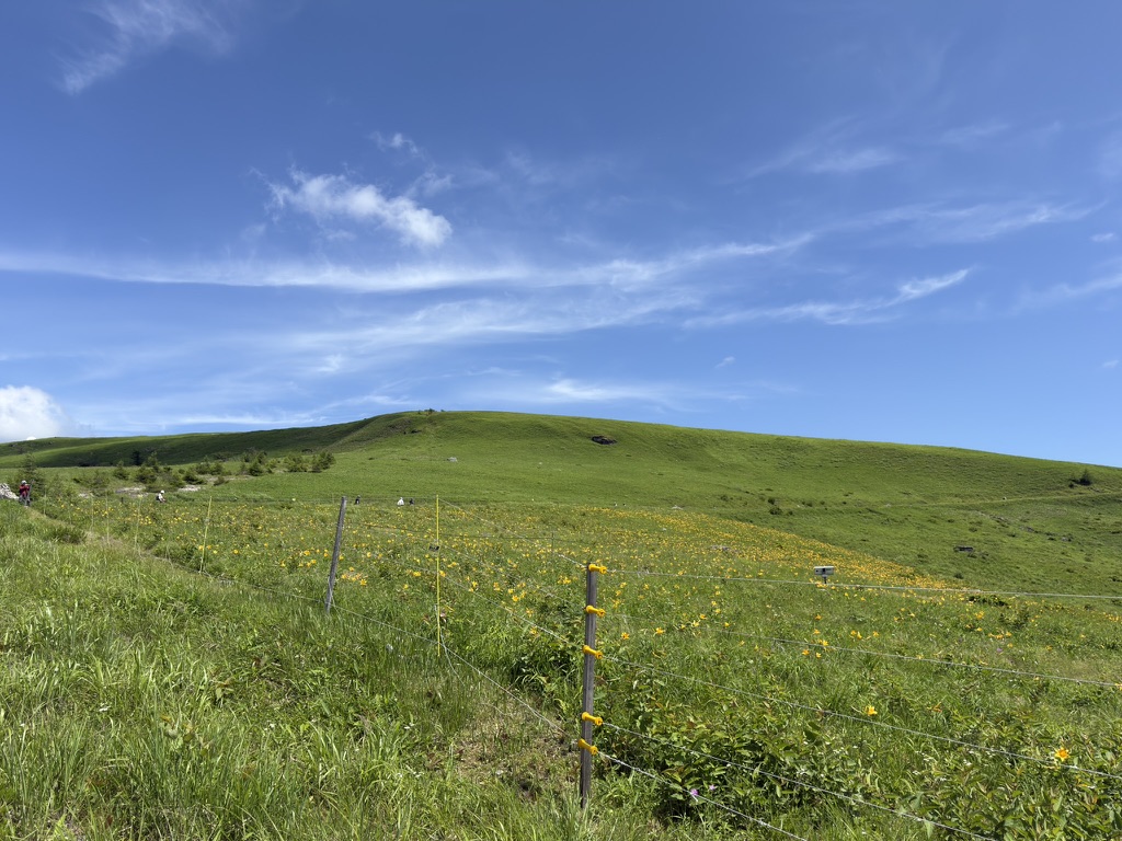 車ニッコウキスゲが丘を彩る車山高原。霧ヶ峰最高峰の車山までは約1時間のゆる登山