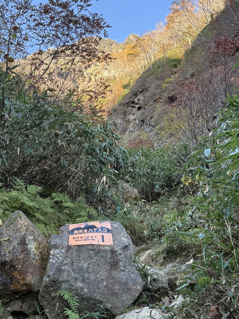 胸突き八丁入口　ここを登るのか。。（胸突き八丁看板と急登を撮影）