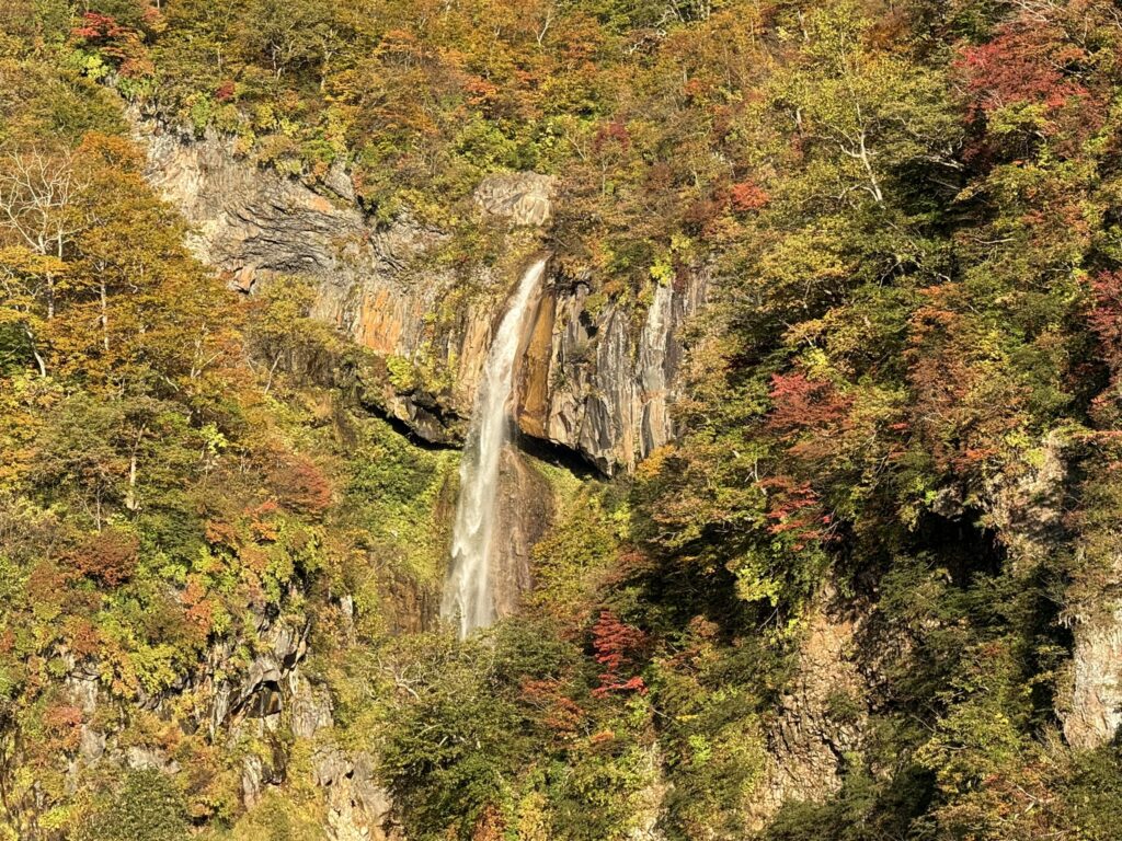 惣滝（日本の滝百選）、落差80mです！（惣滝の展望台で撮影）