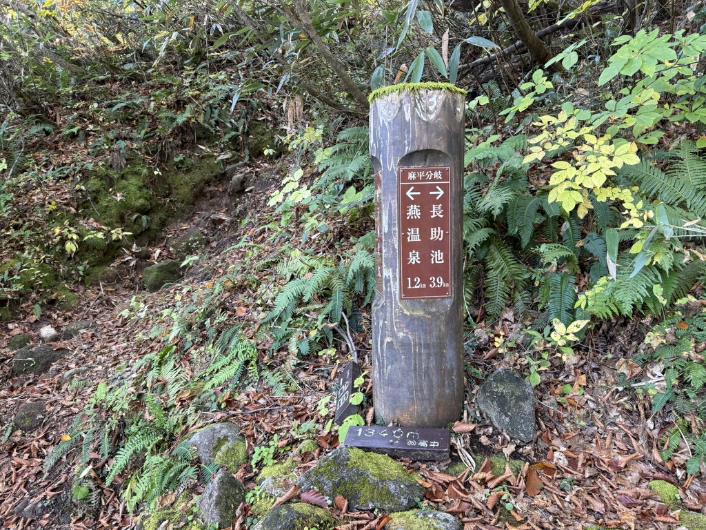 麻平分岐　もう一息で登山口です（長助池から燕温泉の間で撮影）