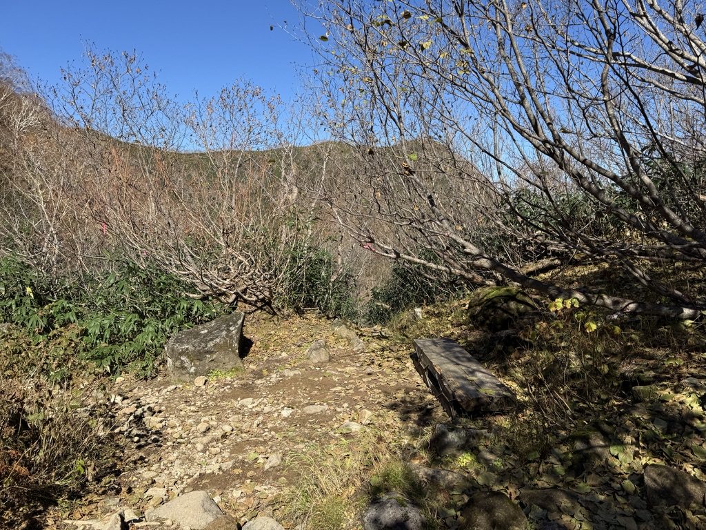 長助池分岐　長い下りだったのでベンチで休憩します（妙高山から長助池の間で撮影）