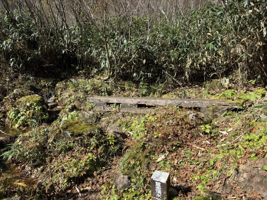 黄金清水　樹林帯の中に急に現れます（長助池から燕温泉の間で撮影）