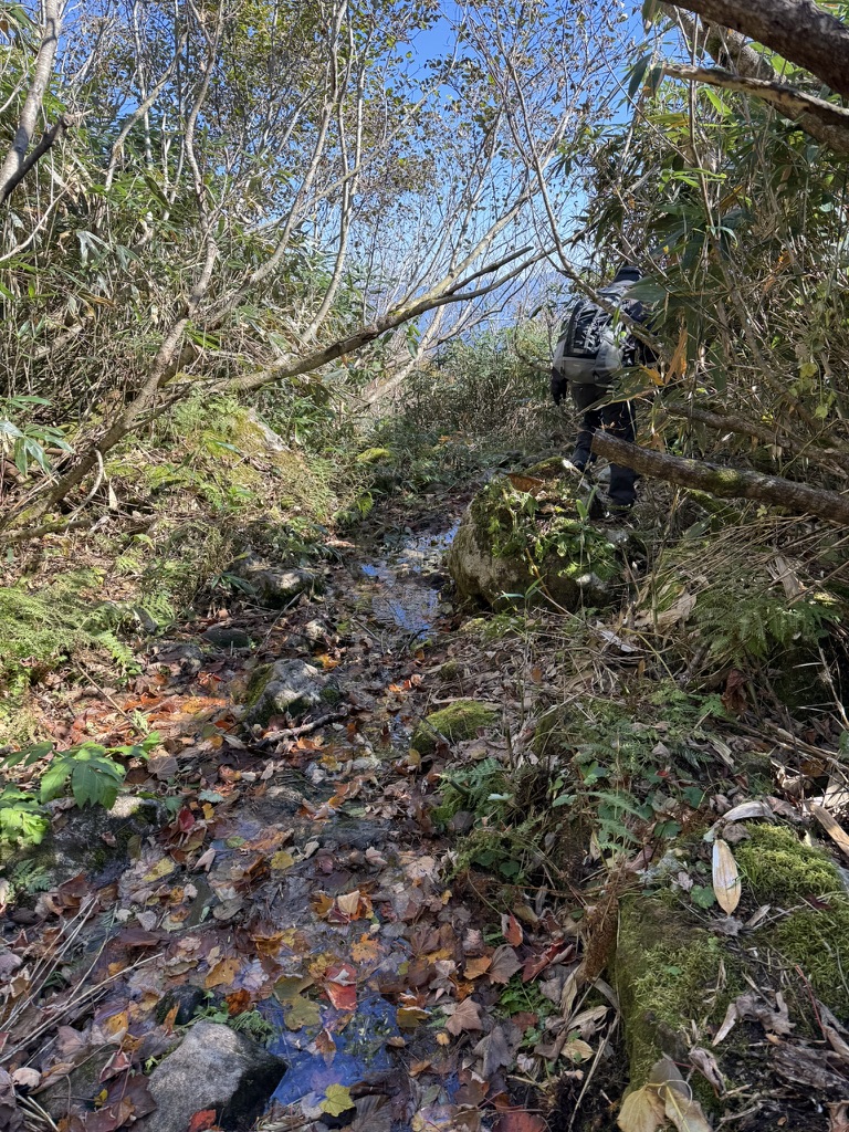 ぬかるみが多い　雪深い証拠ですね（
長助池から燕温泉の間で撮影）