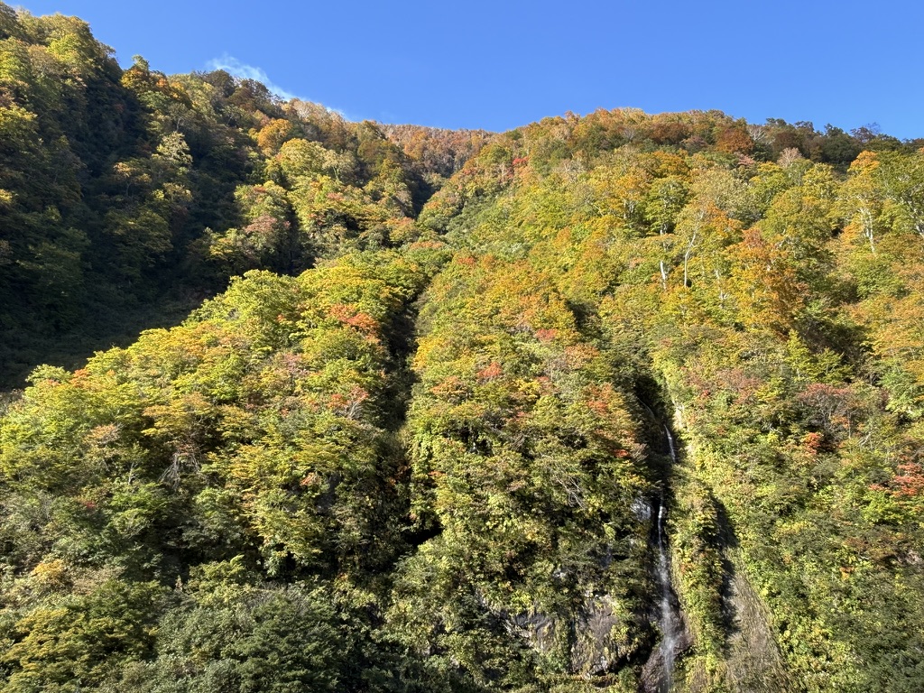 紅葉、ずっと素晴らしかった🍁 右下の滝は「惣滝」？？（長助池から燕温泉の間で撮影）