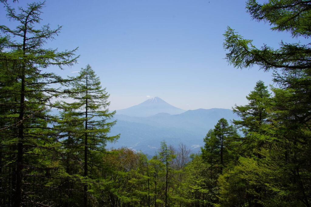 櫛形山の山頂から富士山の眺め(櫛形山山頂で撮影)