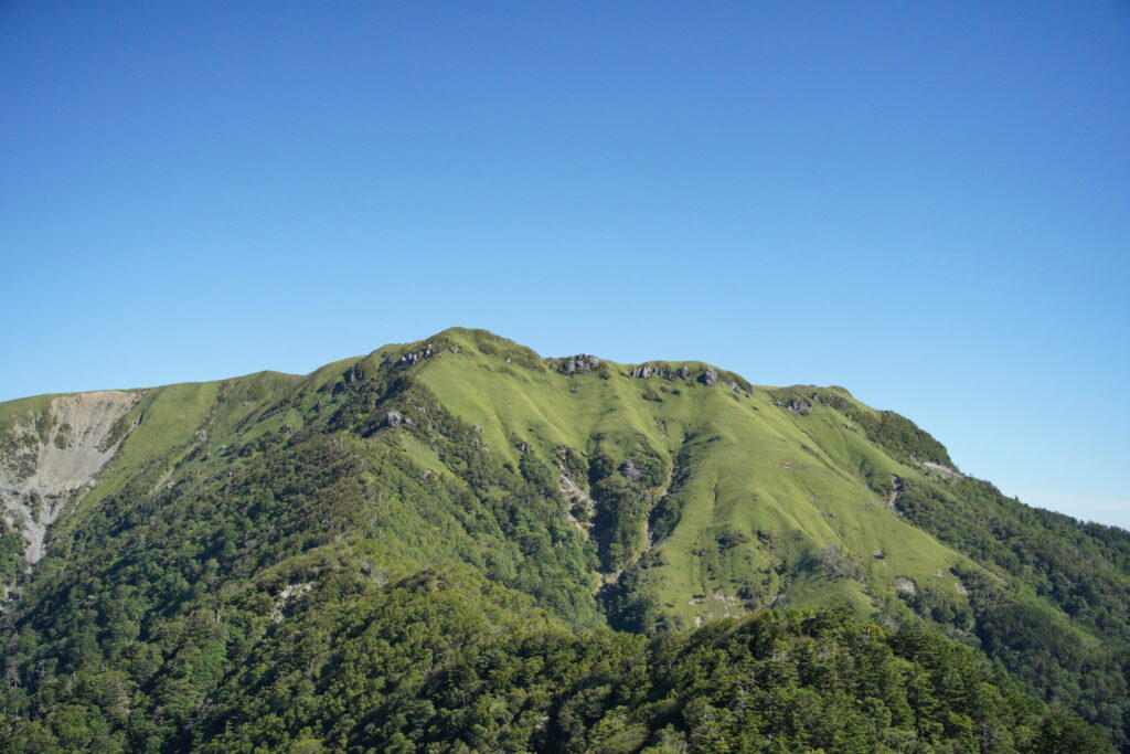 カヤハゲ(東熊山)から眺める三嶺 山肌の笹が美しすぎます(カヤハゲで撮影)