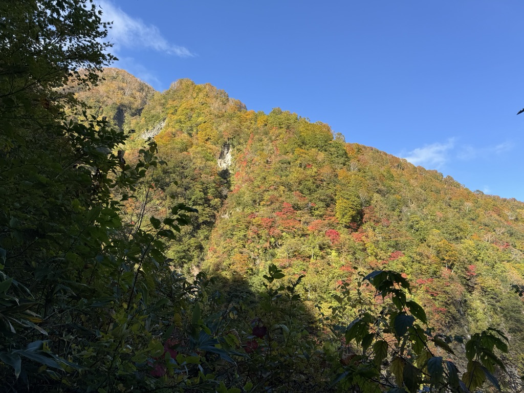 神奈山方面をみると、良き紅葉🍁（長助池から燕温泉の間で撮影）