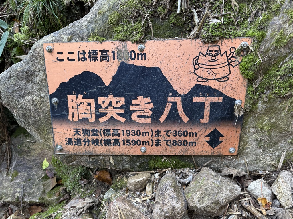 右上のゆるキャラは「ミョーコーさん」☺️