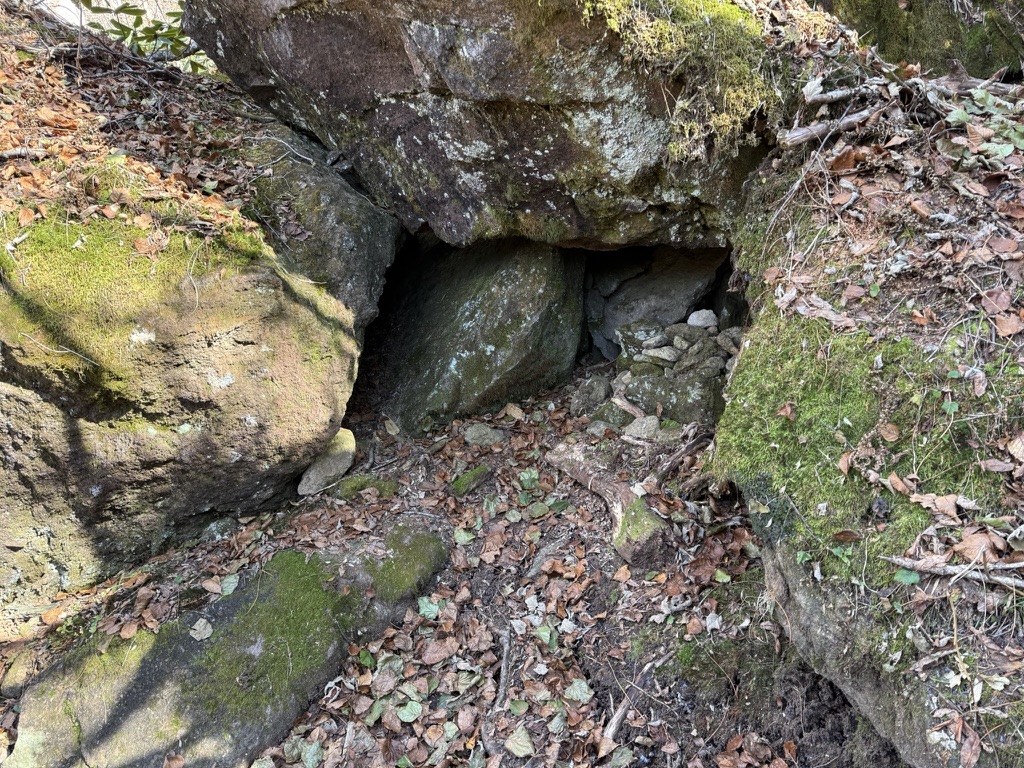 この岩の間にヒカリゴケ（妙高山から長助池の間で撮影）