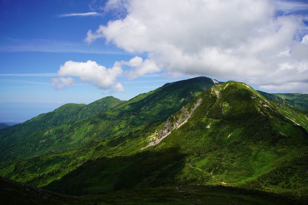 雪倉岳から見る朝日岳 高山植物が見事(雪倉岳から撮影)