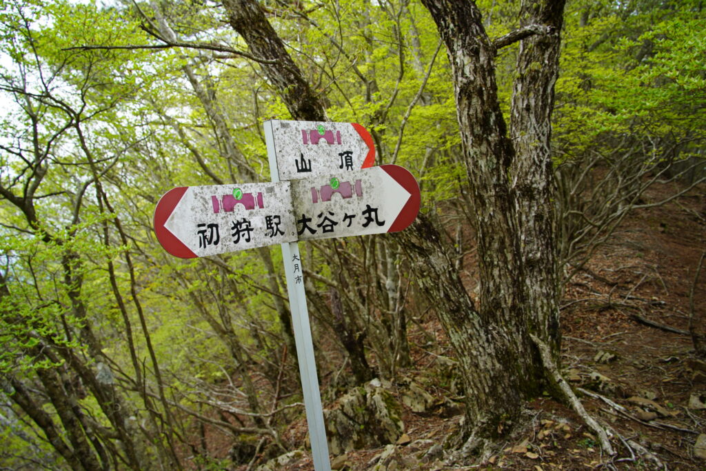 登山道にはわかりやすい看板が多数あります