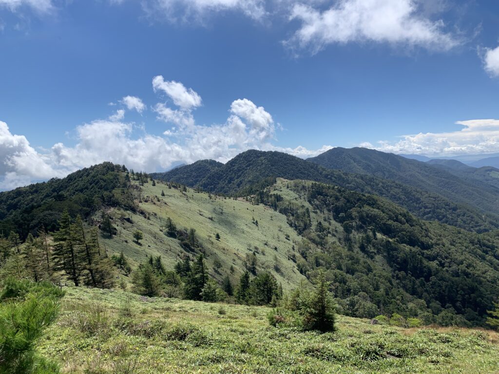 大菩薩嶺の稜線　この道を歩けます