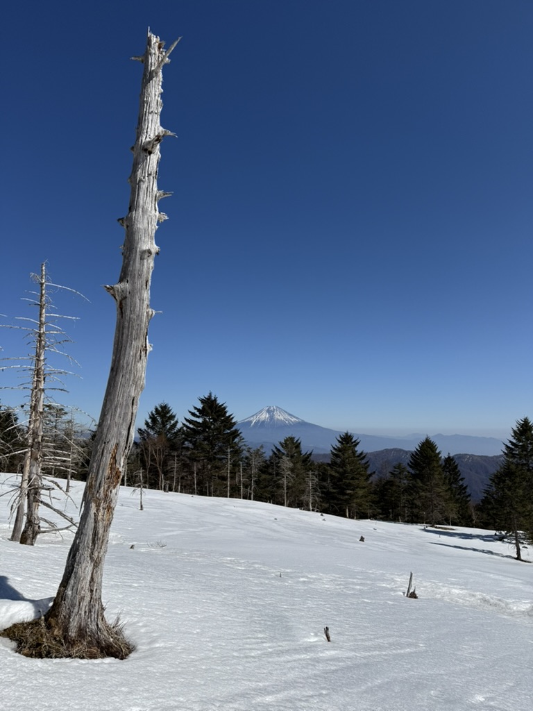 山頂からの富士山 空の青は「山伏ブルー」!(山伏山頂から撮影)