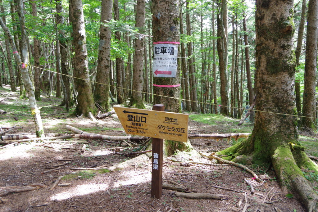 樹林帯にある「ダケモミの丘」名頃登山口から約2時間の地点（名頃登山口から三嶺の間で撮影）