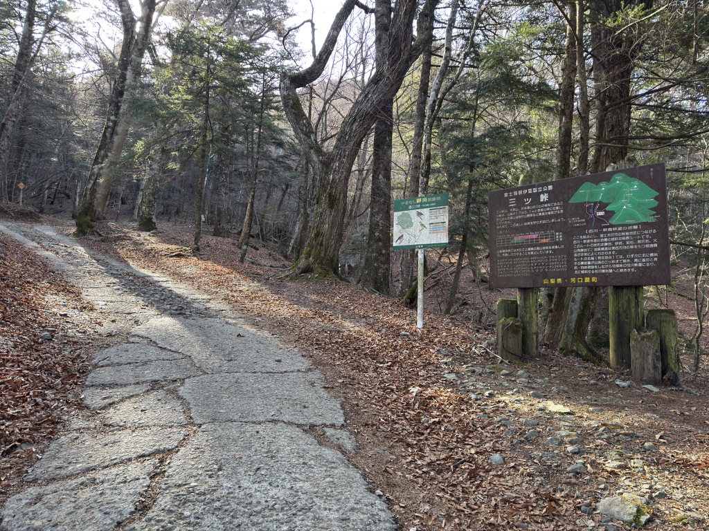 登山口から林道を登っていきます（三つ峠登山口で撮影）