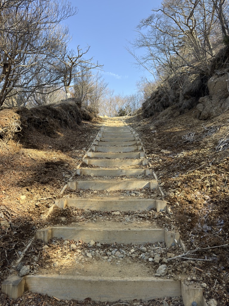 最後の階段、若干きついです💦