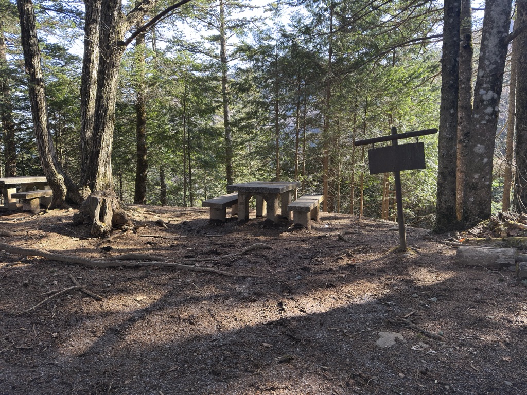 途中には休憩できるベンチがあります（三つ峠登山口から三つ峠山荘の間で撮影）