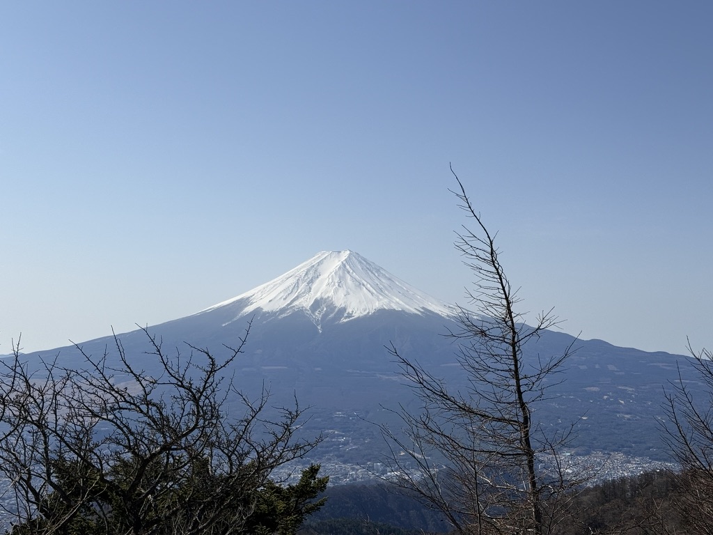 木が多めですね（笑）