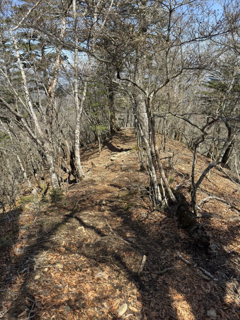 時計回りで歩いたことがある方は、反時計回りにチャレンジしてみては?(黒岳から釈迦ヶ岳の間で撮影)