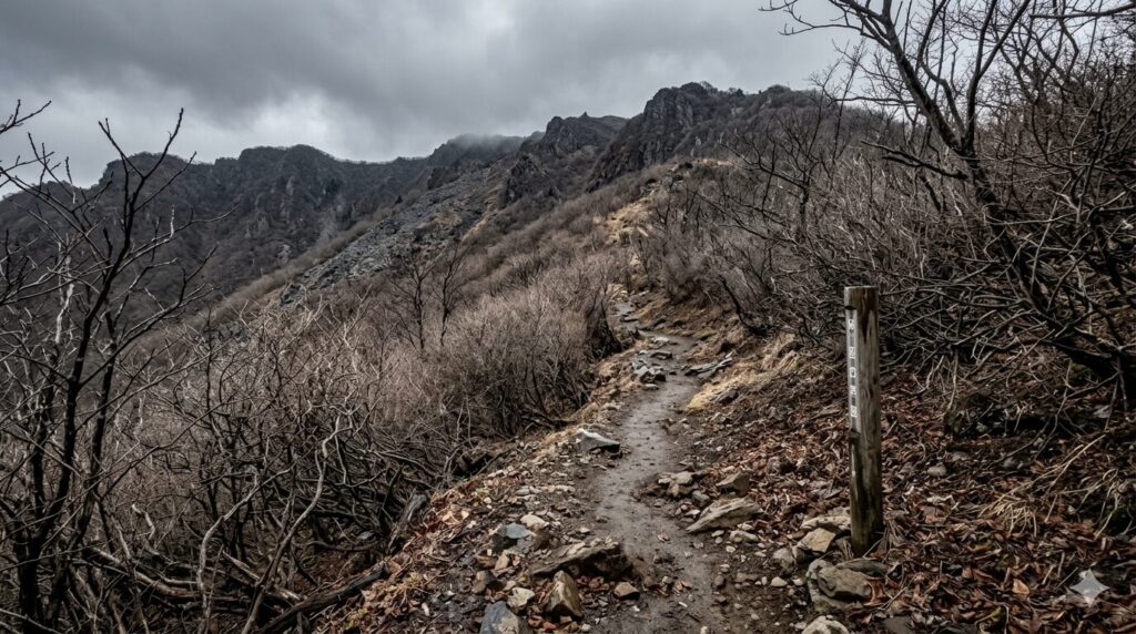 何も咲いてないじゃん😢　※画像はAIで生成したものです