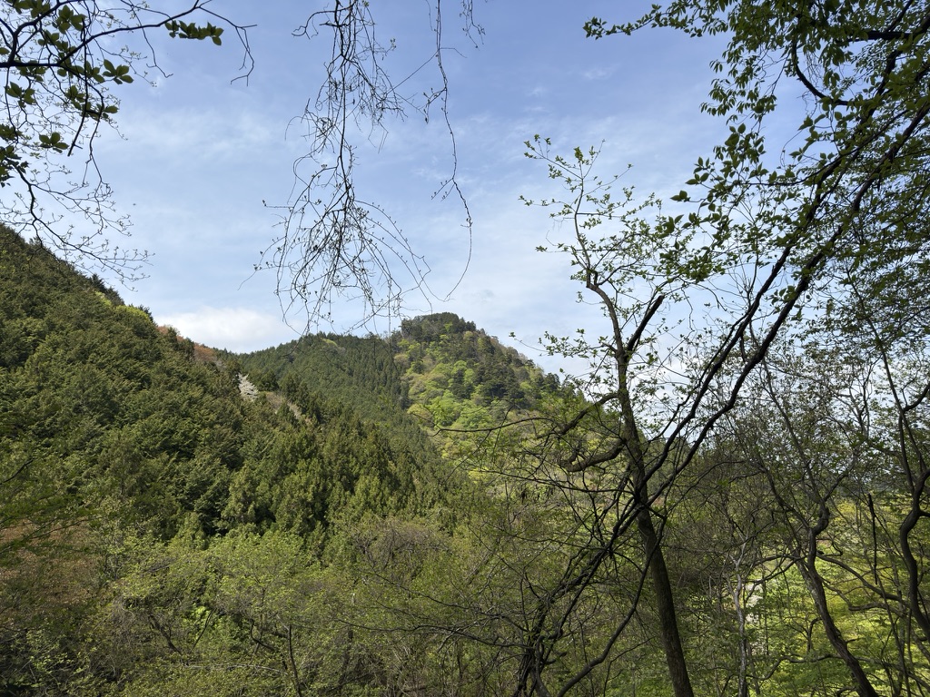 さっき登った奥の院峰　結構遠くに見えます（大岳山からロックガーデンの間で撮影）