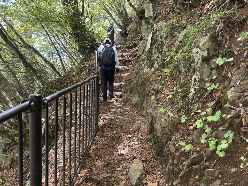 滑落防止の柵（御岳山から大岳山の間で撮影）