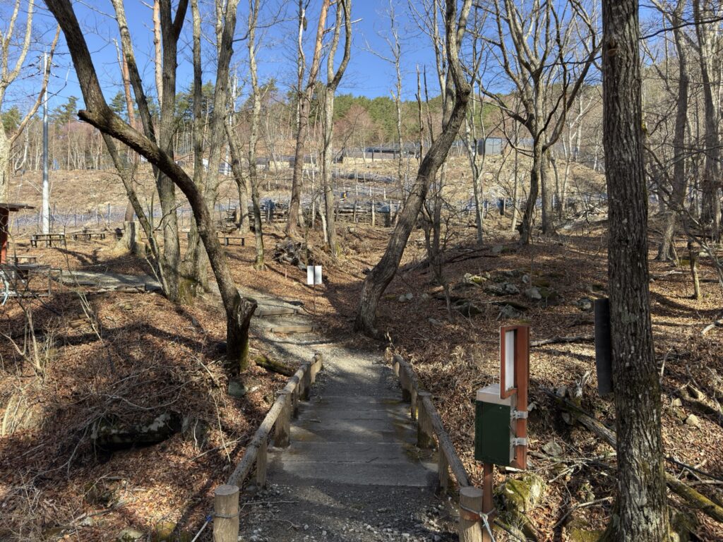 すずらん自生地 冬なので寂しい😭(すずらん自生地で撮影)