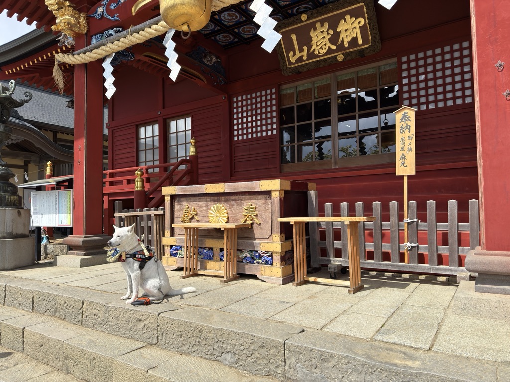 ワンコの写真撮影をされる方が多かったです🐶（武蔵御嶽神社で撮影）