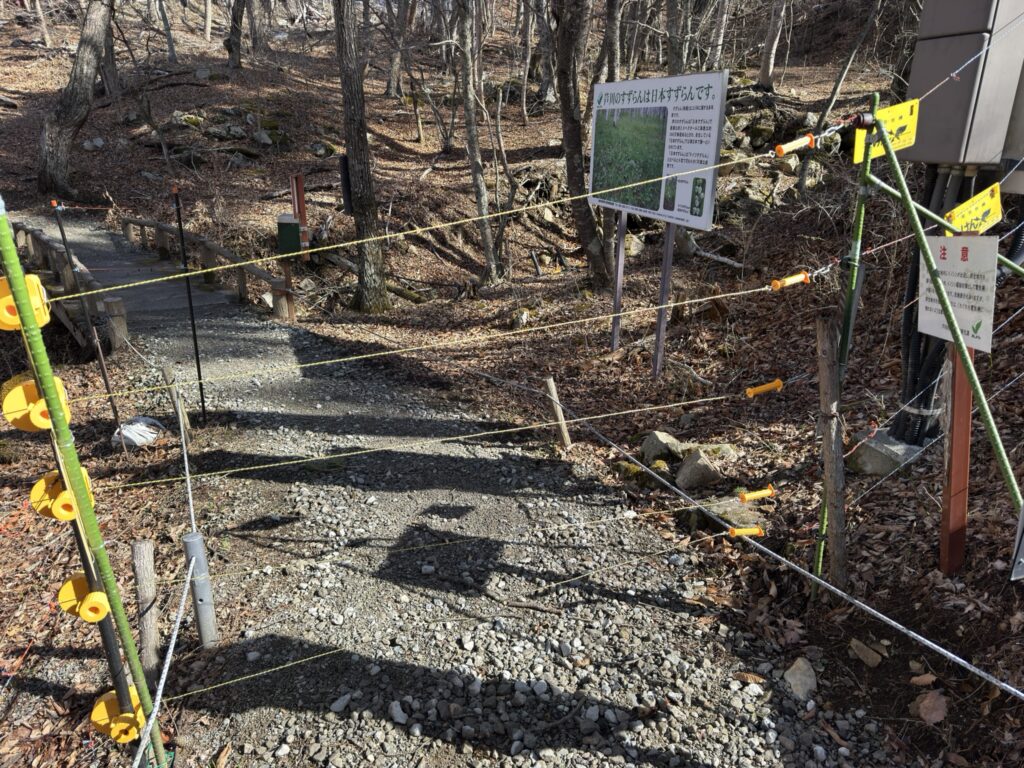 電気が流れるワイヤー 端のフックを外して通過しましょう(すずらん自生地で撮影)
