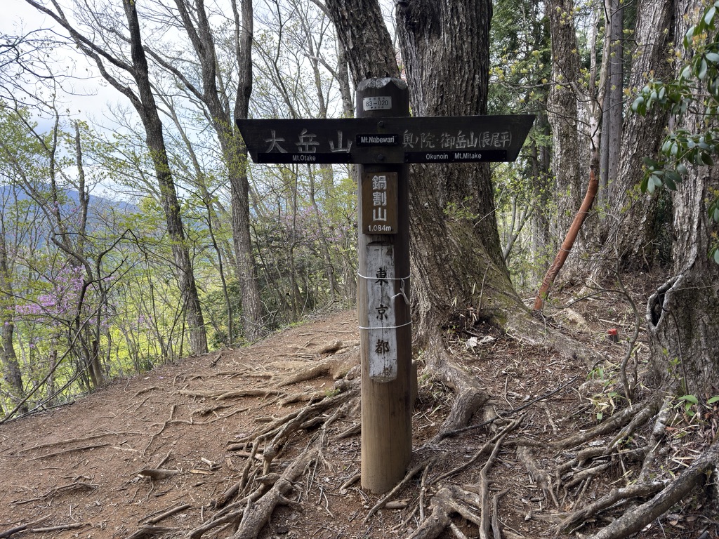 鍋割山・山頂　標高1084ｍ（鍋割山で撮影）