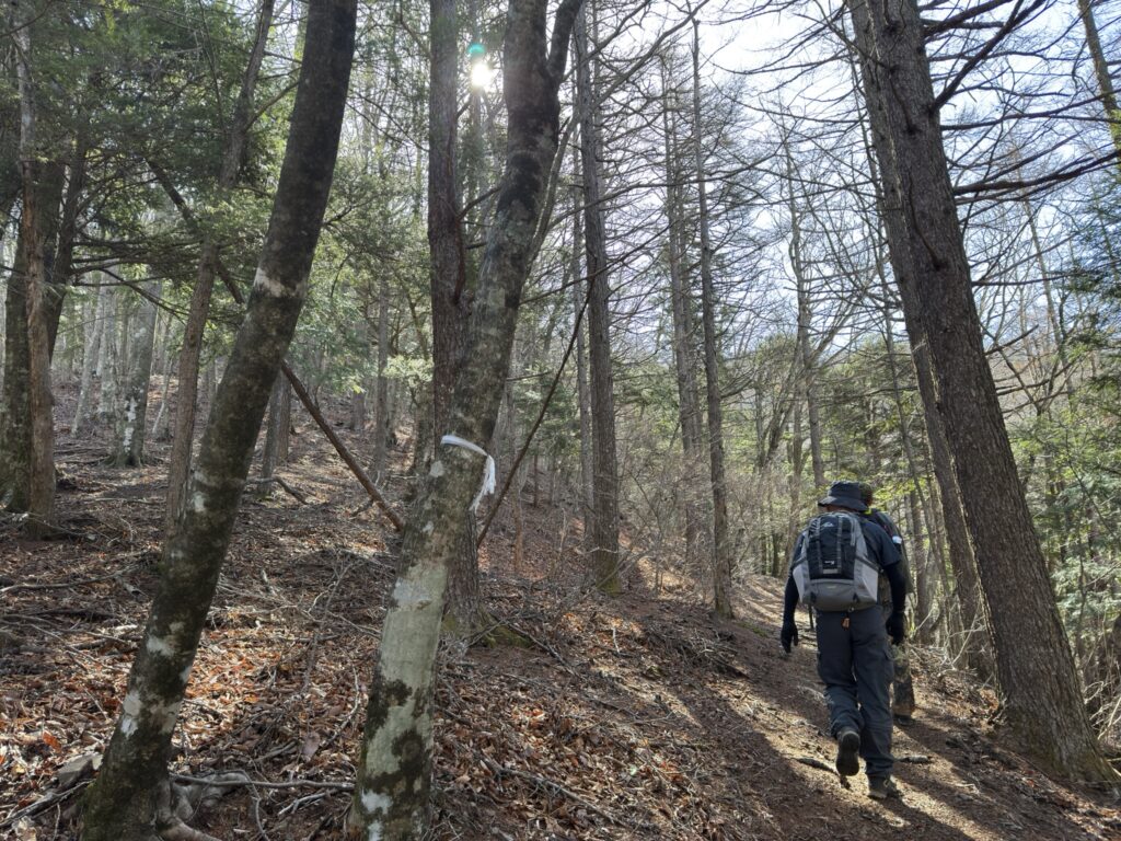 冬山なので木々の間から空が見えます(すずらん自生地からすずらん峠の間で撮影)
