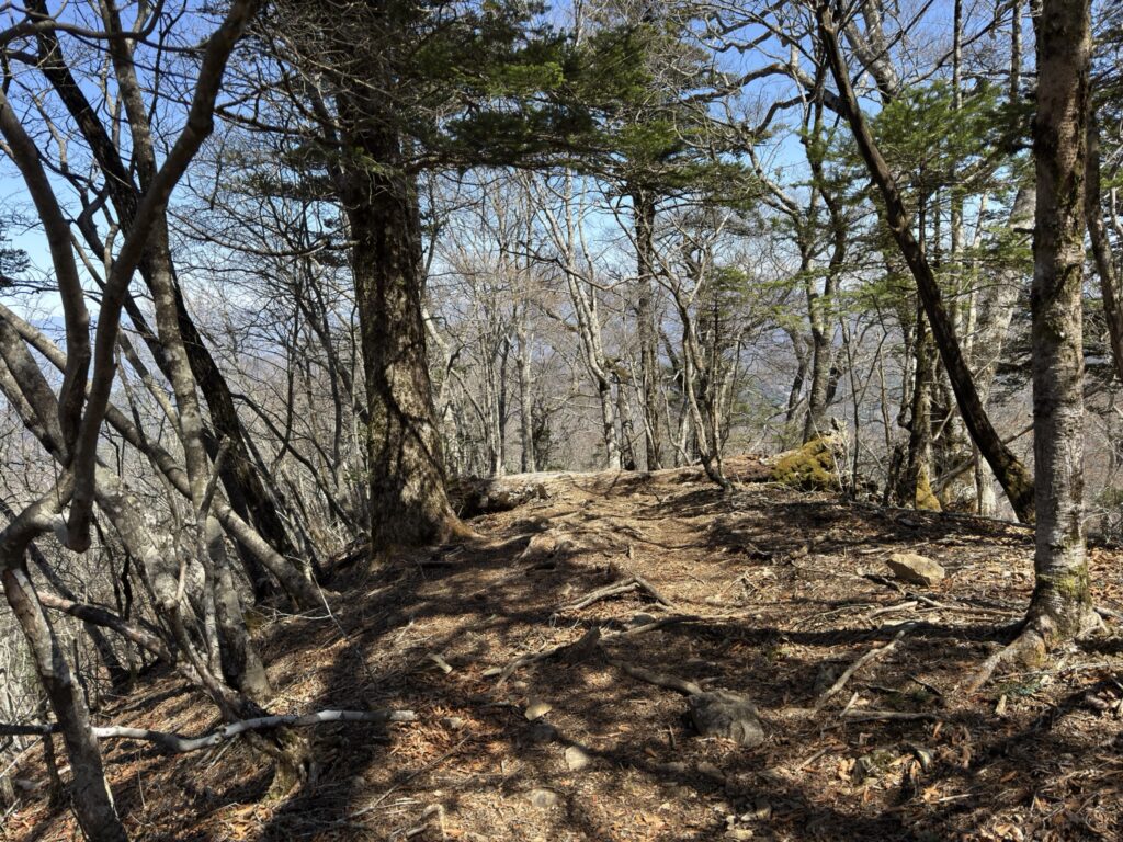 すれ違った人はたくさんいました 時計回りに登る人が多いようです(黒岳から日向坂峠の間で撮影)