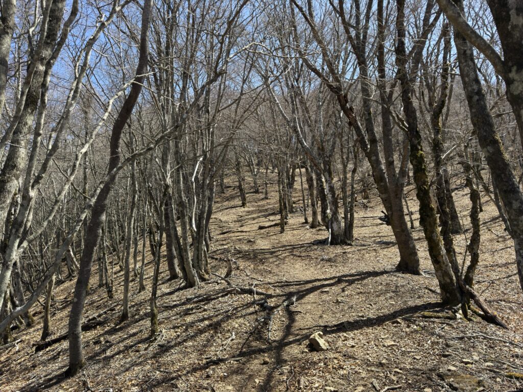 登りが続く黒岳への道(すずらん峠から黒岳の間で撮影)