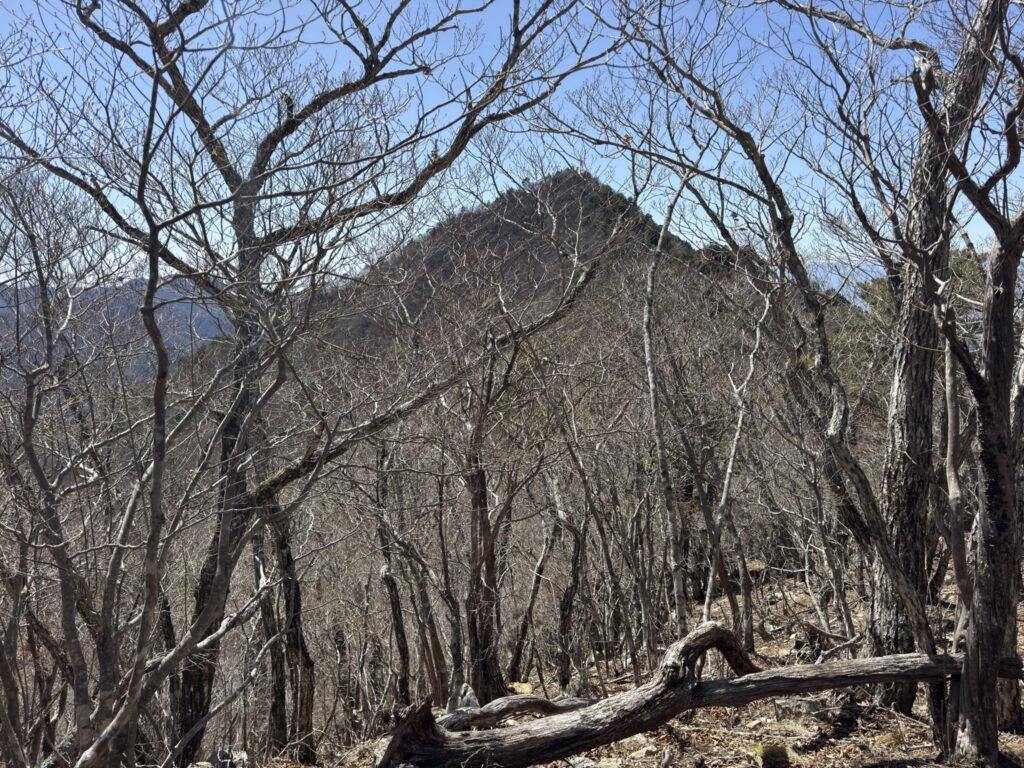 木々の間から釈迦ヶ岳!(府駒山から釈迦ヶ岳の間で撮影)