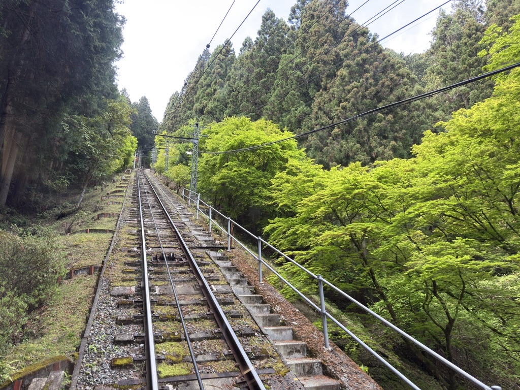 新緑の中を進むケーブルカー　かなりの勾配です😯（御岳登山鉄道の車窓から撮影）