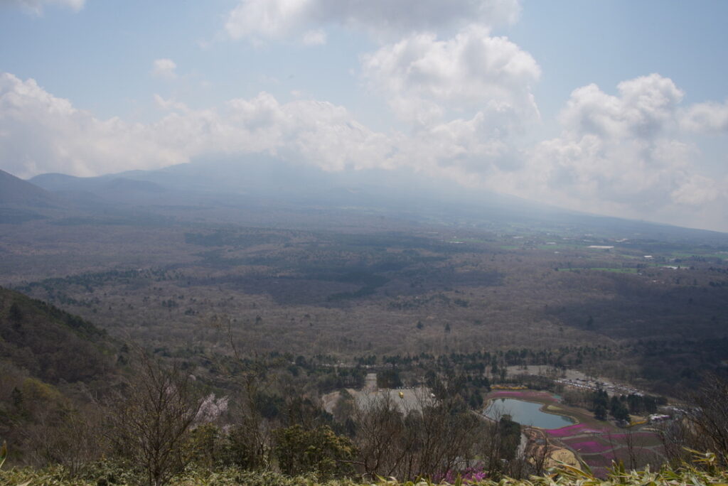 私が行った日は富士山は雲隠れ。。しかし眼下には富士本栖湖リゾートの芝桜が見れます！（竜ヶ岳山頂から撮影）