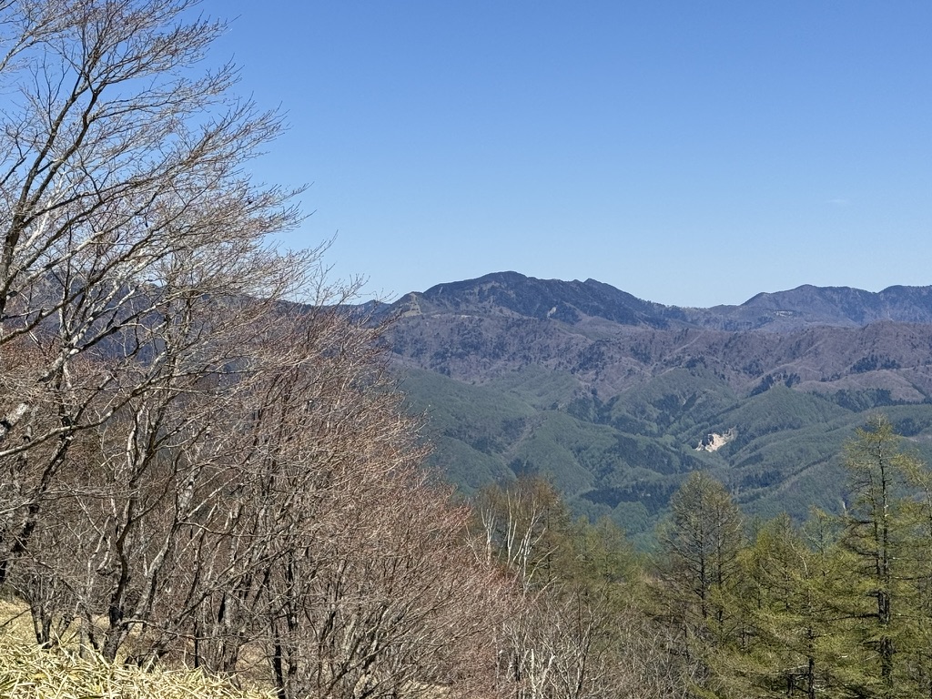 笠取山と唐松尾山（ササ原下展望台で撮影）