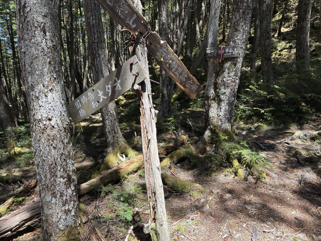 大ダオ分岐　登山道は荒廃してるようです　看板も荒廃（笑）（笠盛山から黒金山の間で撮影）
