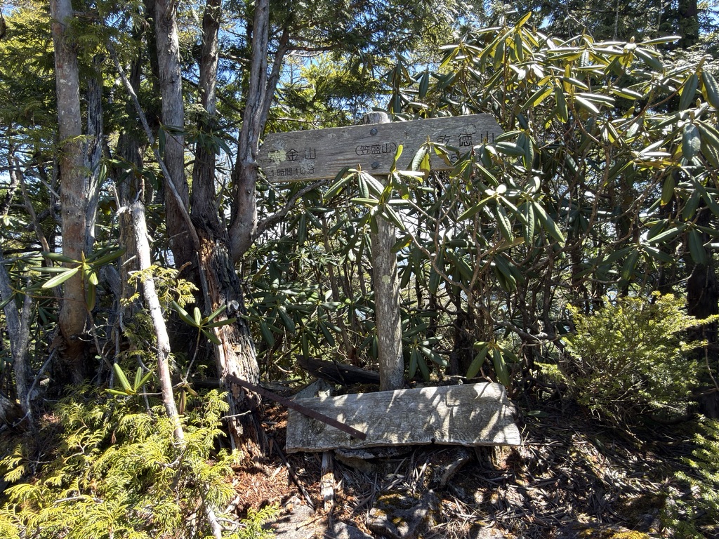 笠盛山　乾徳〜黒金の中間地点（笠盛山で撮影）