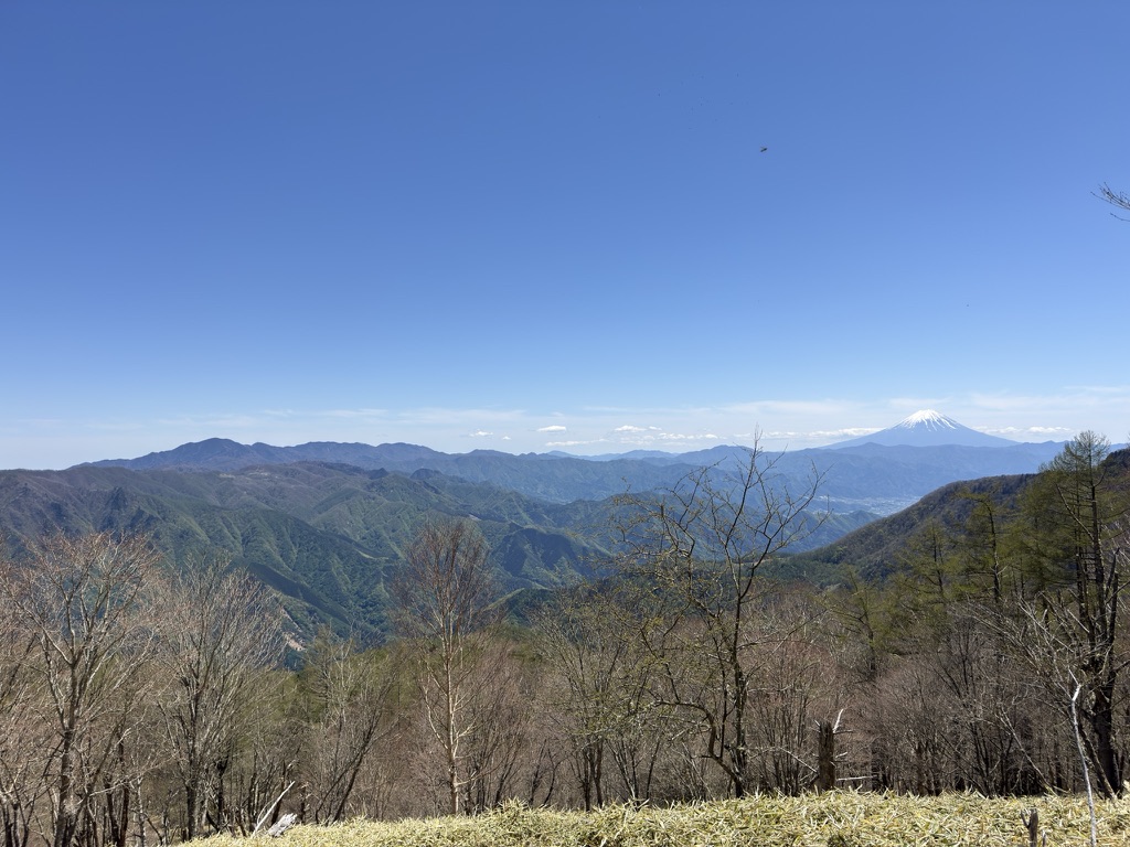 小金沢連嶺　右に富士山　（ササ原下展望台で撮影）