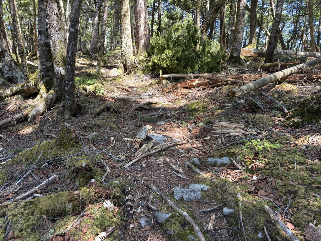 前日は荒れた天気だったのでその名残りですかね？（乾徳山頂から笠盛山の間で撮影）