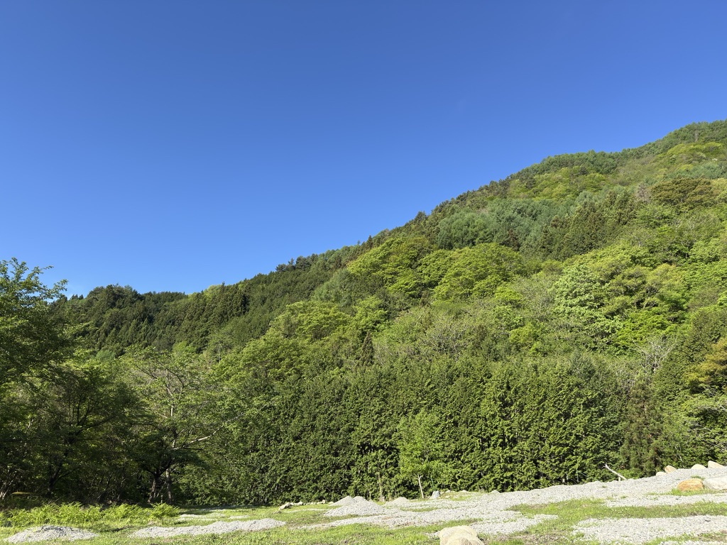 山の新録と青空　今日の登山は正解✌️（乾徳山駐車場から登山口の間で撮影）