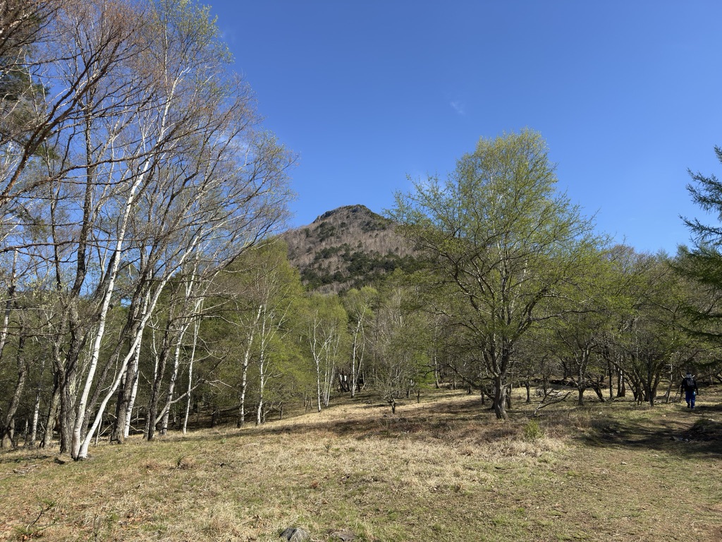 国師ヶ原付近から徐々に空が見えてきます　正面には乾徳山（乾徳山登山口から国師ヶ原の間で撮影）