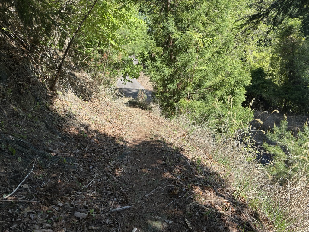 急坂を下るのは膝にきます🤕（道満山から徳和峠の間で撮影）