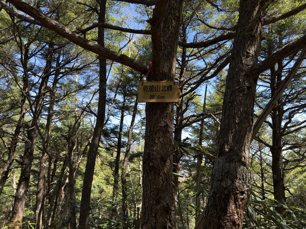 乾徳山の北峰　樹林帯なので展望はありません（乾徳山頂から笠盛山の間で撮影）