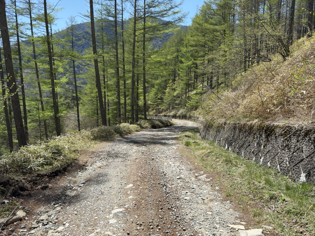 未舗装林道をひたすら下ります（黒金山登山口駐車場から大平牧場の間で撮影）