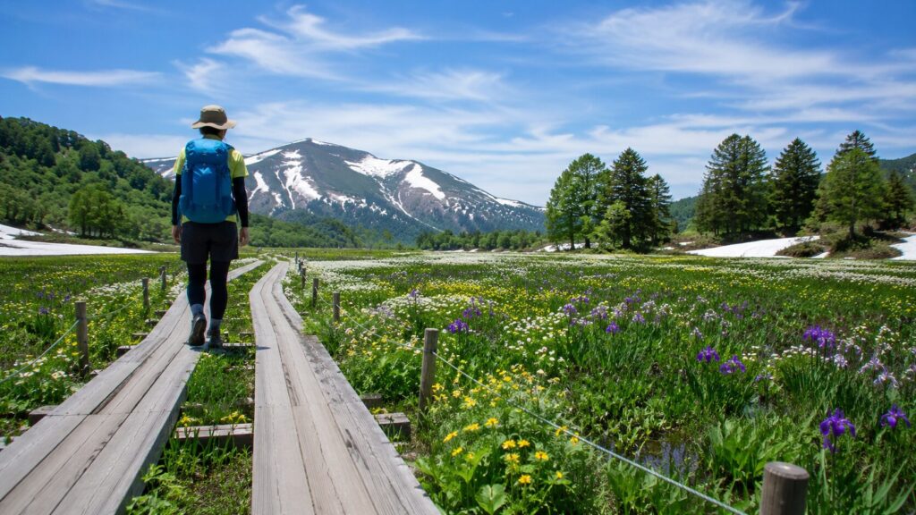 高山植物が咲く中、木道を歩く登山者　※画像はAIで生成したものです